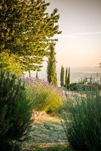 Toscana