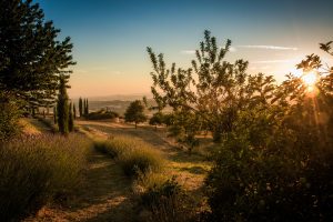 Toscana